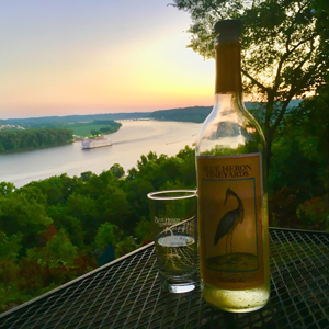 Things to do in Kentucky - Blue Heron Vinyards and Winery