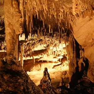 Things to do in Kentucky - Mammoth Cave